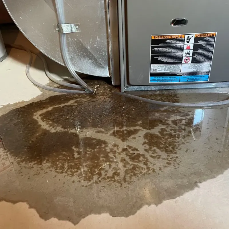Pipe Burst and Leak Restoration in Mound Bayou, MS
