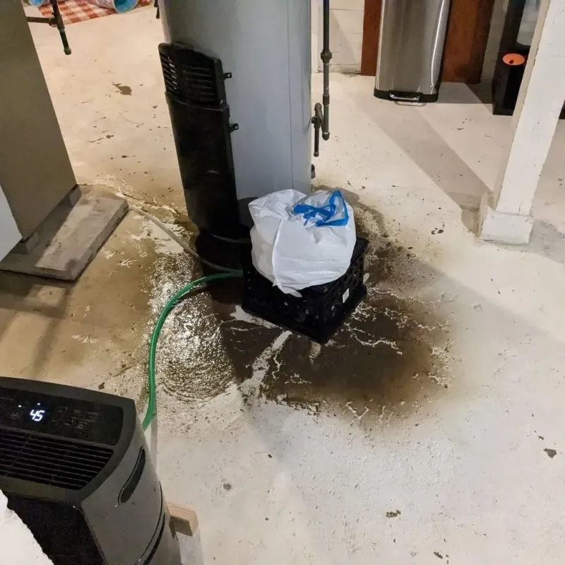 Sewage Backup Cleanup Service in Mound Bayou, MS
